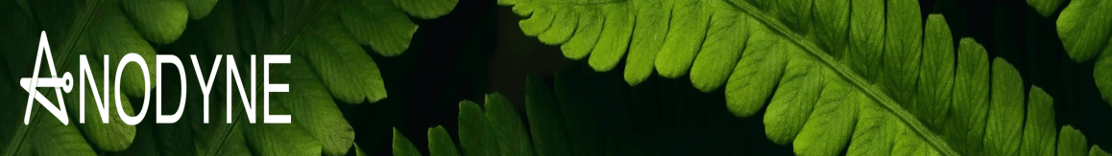 Anodyne Banner2