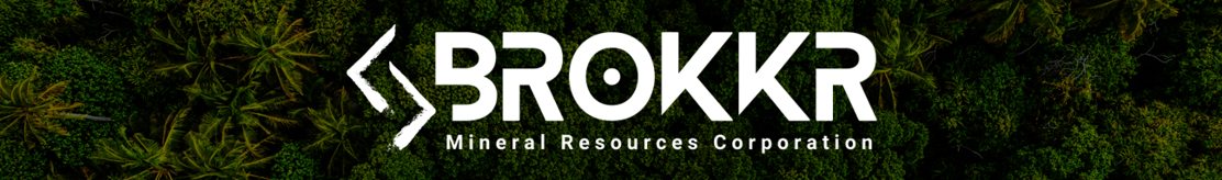 Brokkr Logo
